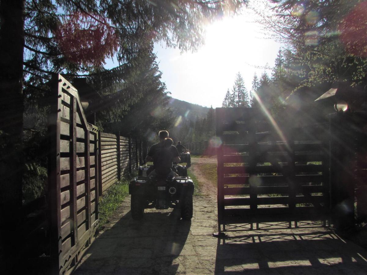 Relaxation In Guta Гута Покращене Шале Exterior foto